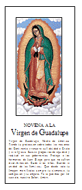 Oraciones Virgen de Guadalupe for Android - APK Download