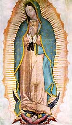 [Foto de la tilma con la imagen de Nuestra Señora de Guadalupe]